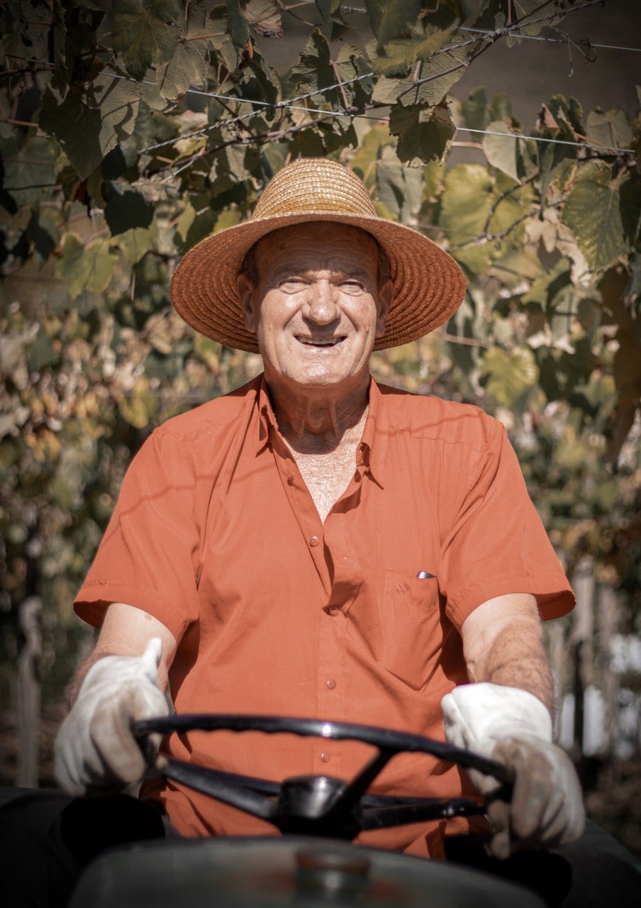 Seu Jandir nas videiras